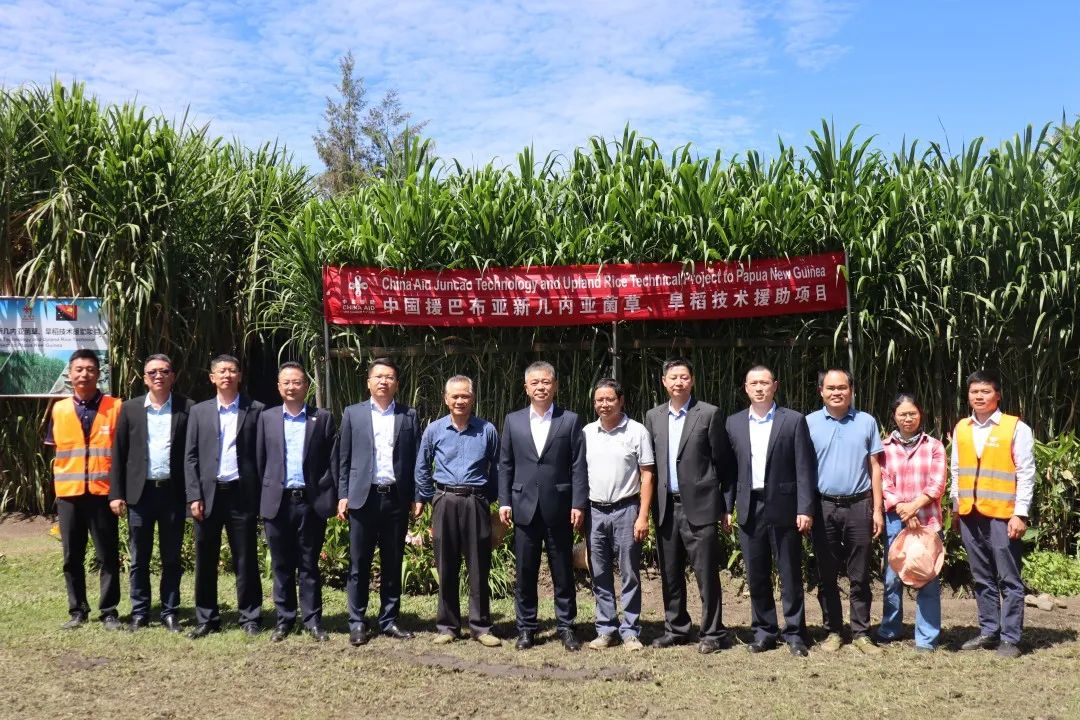 1691724555346018.jpg 1691724555346018.jpg